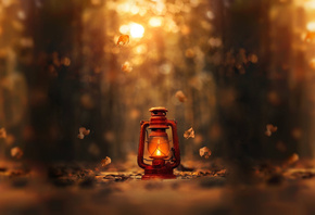 Ashraful Arefin, , , , 