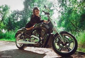 , , Harley Davidson