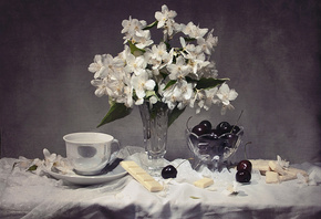 Anastasia Soloviova, still life, , , , , ,  ...