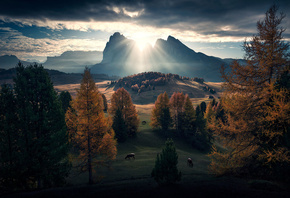 , , , Max Rive, , , 