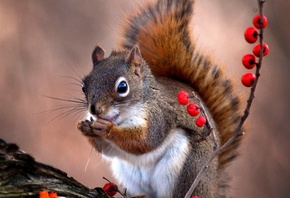 , , , ,  Andre Villeneuve