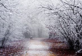 shop, Park, snow, winter, frost, bench, bench, trees, road, nature, shop, branches, track