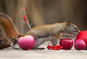 Andre Villeneuve, , , , , , , 