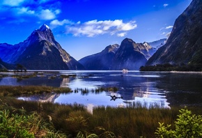  , , , , Fiordland, , ,  , , 