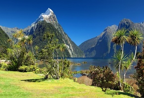  , , , , Fiordland, , - ...