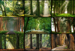 , , , Lars van de Goor, 