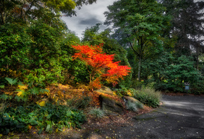 , , VanDusen Botanical Garden, , , , 