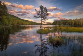 , , , , , , , , , , , , Ole Henrik Skjelstad