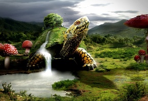 Fantasy Wallpapers. turtle, Turtles, Landscape, Mushroom, Waterfalls