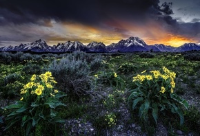 Grand Teton National Park, Wyoming, Rocky Mountains, 