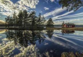 Ringerike, trees, the lake house, Norway