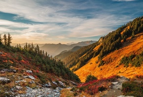 , , , North, Cascades, National Park, Mount Baker, , ...