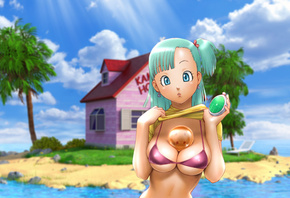 bulma, girl, dragon ball, girl, blonde, anime, sexy, woman, bikini, beach