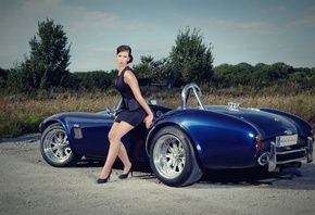 , , Shelby, Cobra