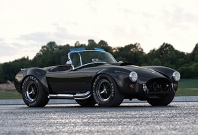 Shelby, Cobra