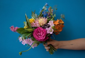 floral creativity,  , design, fresh flowers, Posy and Po ...