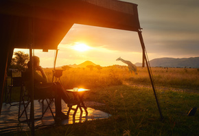 Africa, Serengeti National Park, Tanzania, Safari