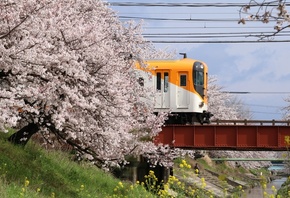 Takadashi Station, railway station, Yamatotakada, Nara Prefecture, Japan