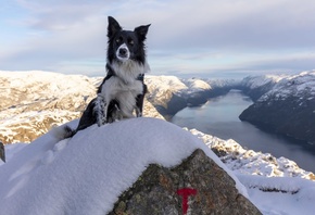 Preikestolen, Pulpit Rock, Rogaland county, Norway