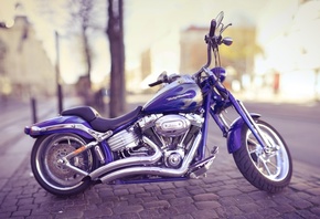 harley davidson, , 