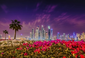 city, sunset, UAE, Dubai, Rhododendron, night city, buildings, flowers, bushes