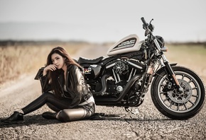 harley davidson, , , 