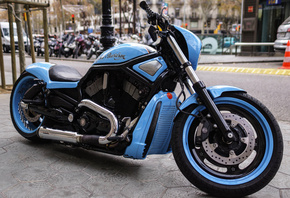 harley davidson, , 