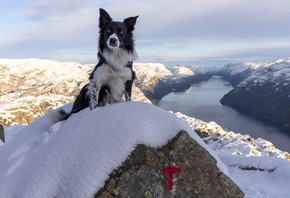 Norway, Winter, Preikestolen, Pulpit Rock