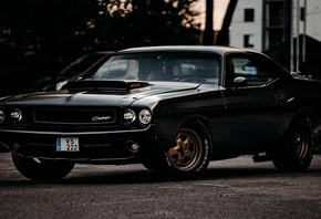 Dodge Challenger 1970, muscle cars, vehicle, Dodge, car, trees, black cars, sky, Dodge Challenger RT