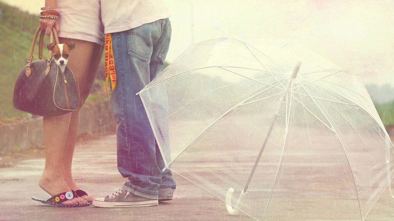 wallpapers he and she, the road hugs, transparent umbrella, Love, photo