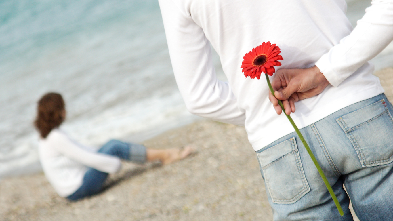 Couple wallpapers, beach, flower, romance, love, love, photo