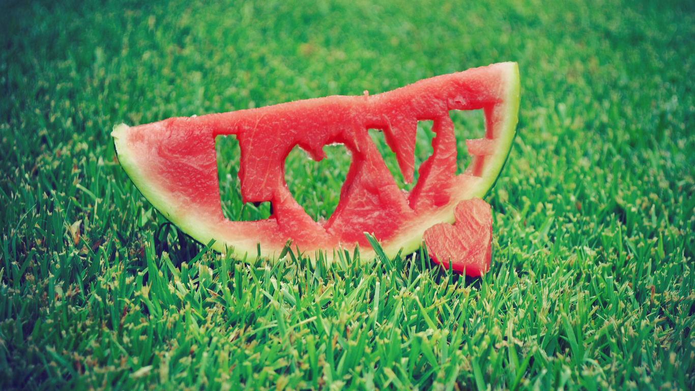 wallpapers love watermelon, grass, love, photo