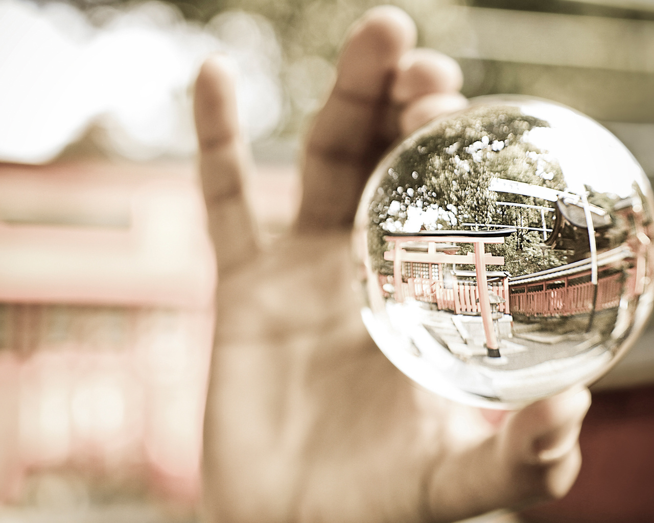 Шар бизнес. Жилищный пузырь. Прозрачный Хрустальный шар фото для инстаграмма. Мячи из стекла работа семья.