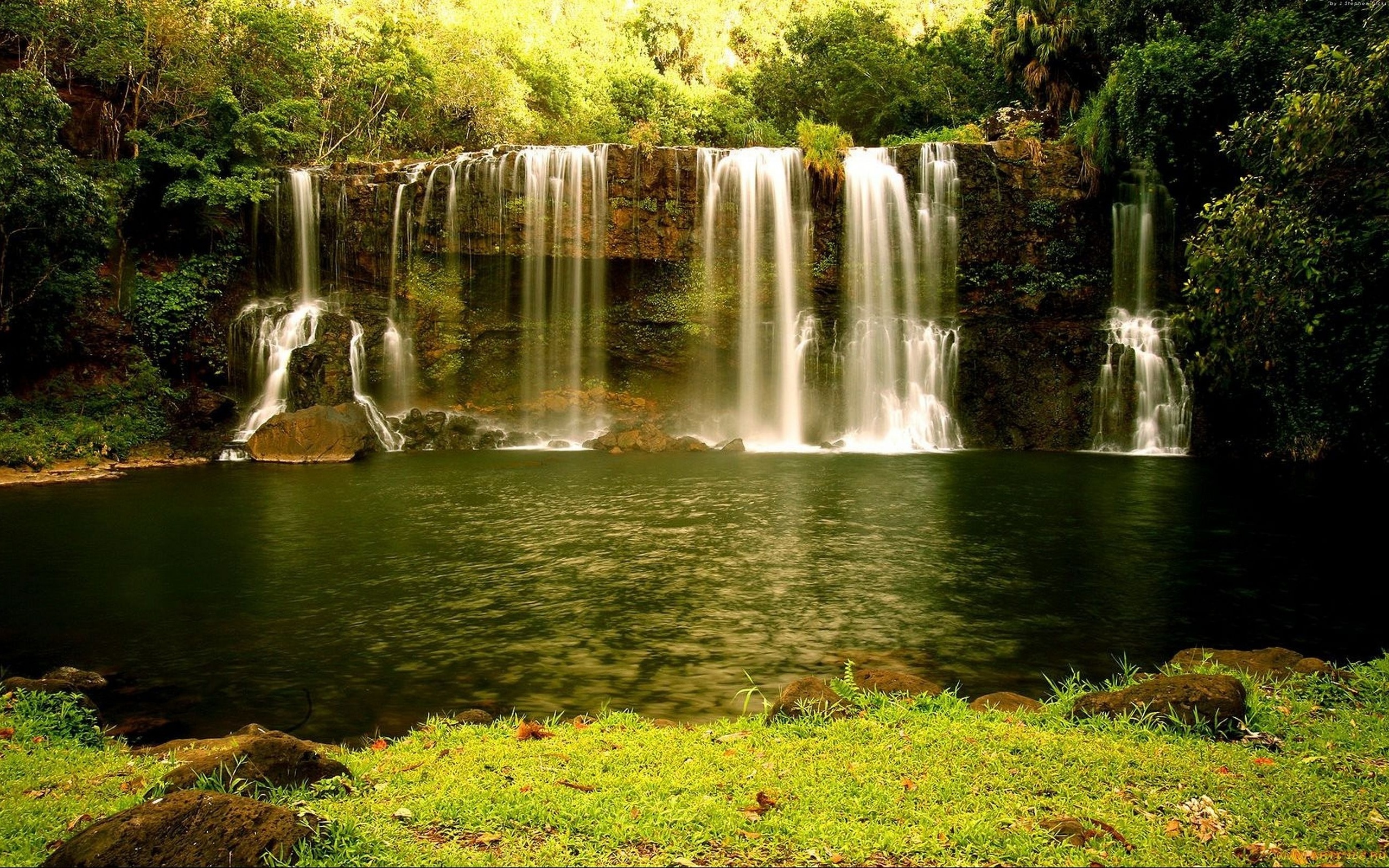 Установить видео живые обои. Природа водопад. Красивые водопады. Живая природа водопады. Водопад зелень.