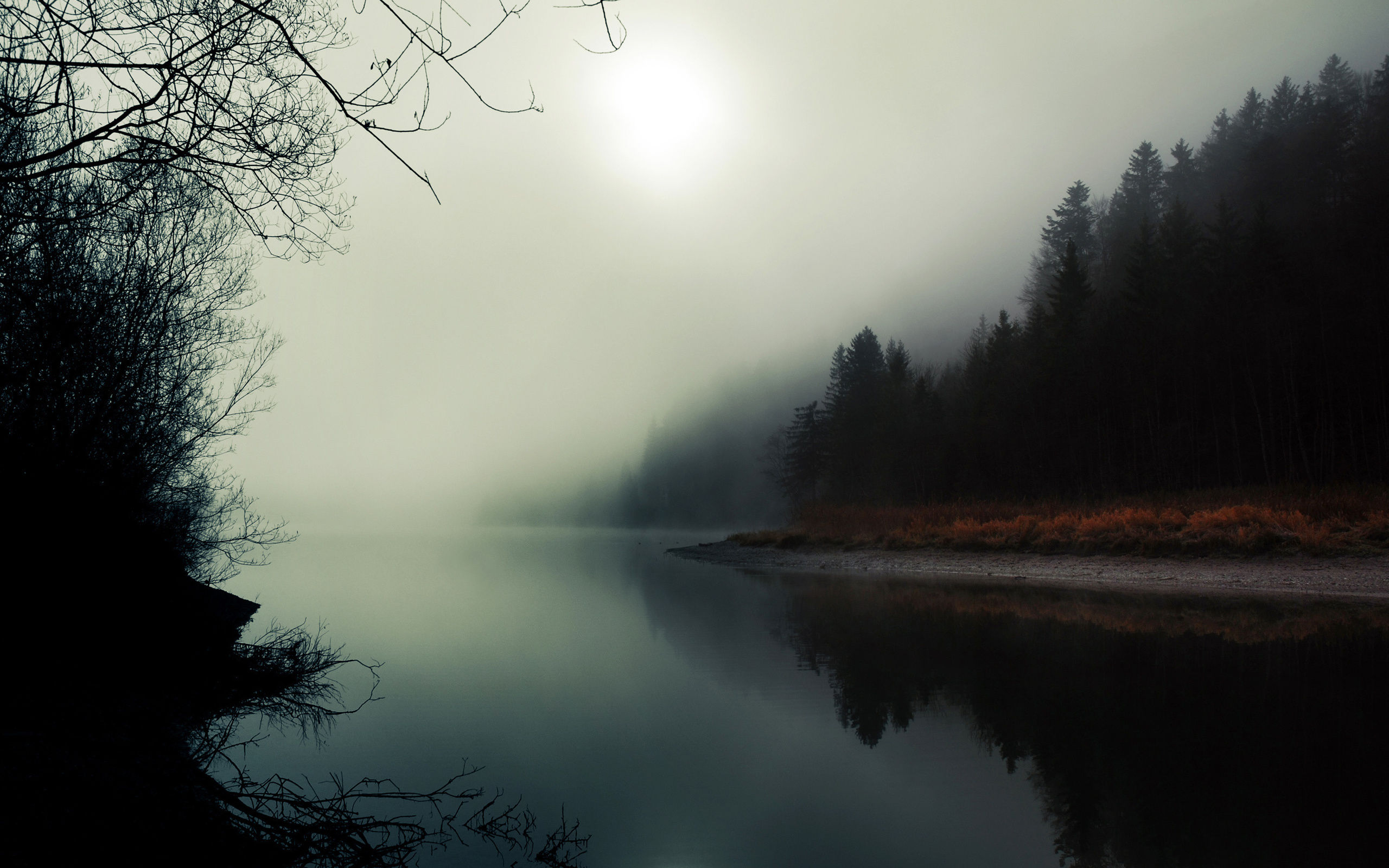 Звуки на берегу озера. Природа туман. Туманный пейзаж. Лес в тумане. Озеро в тумане.