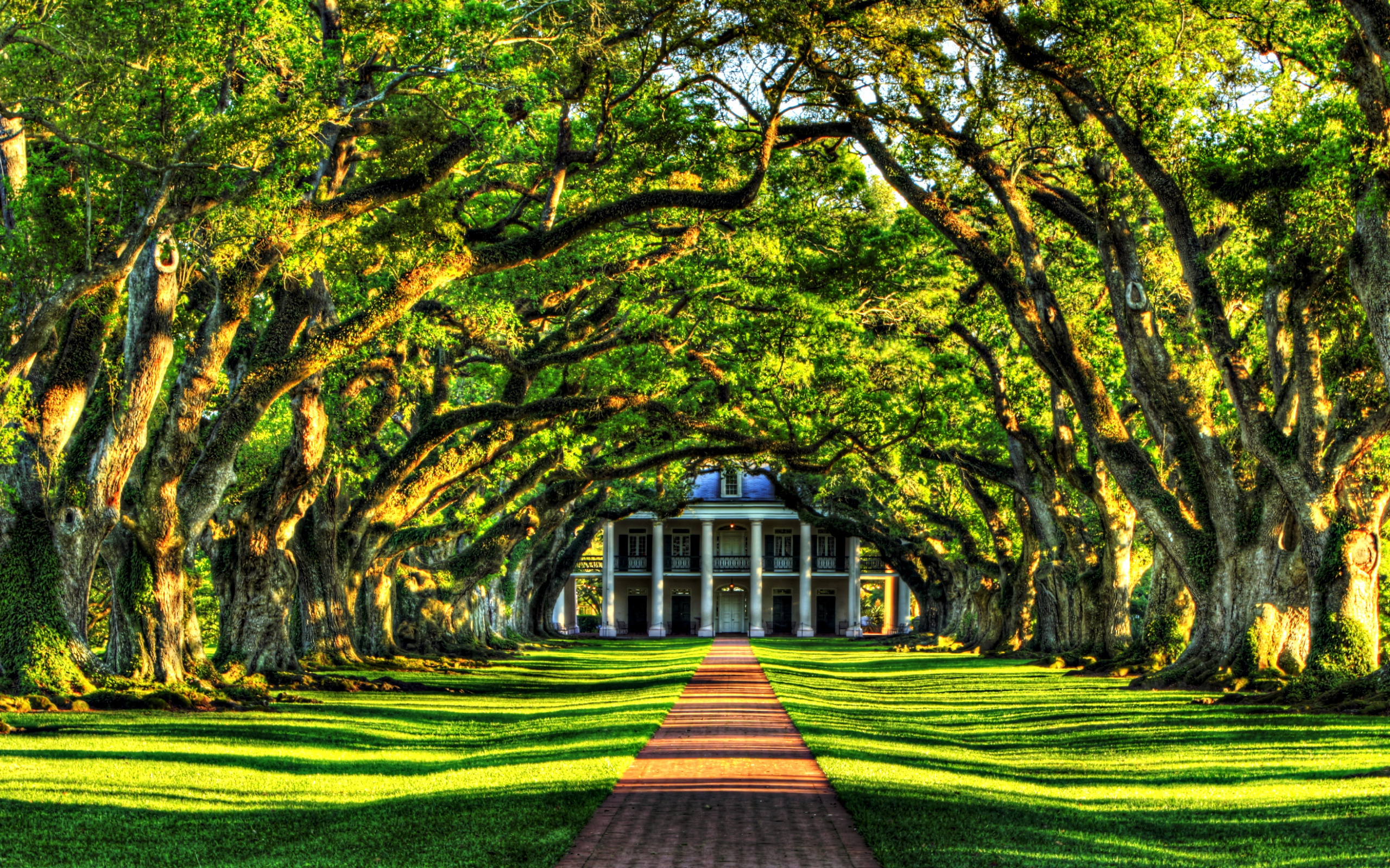 Красивые зеленые места. Дубовая аллея Луизиана. Плантация дубовая аллея Луизиана. Поместье дубовая аллея. Парк Стоун Англия аллея.