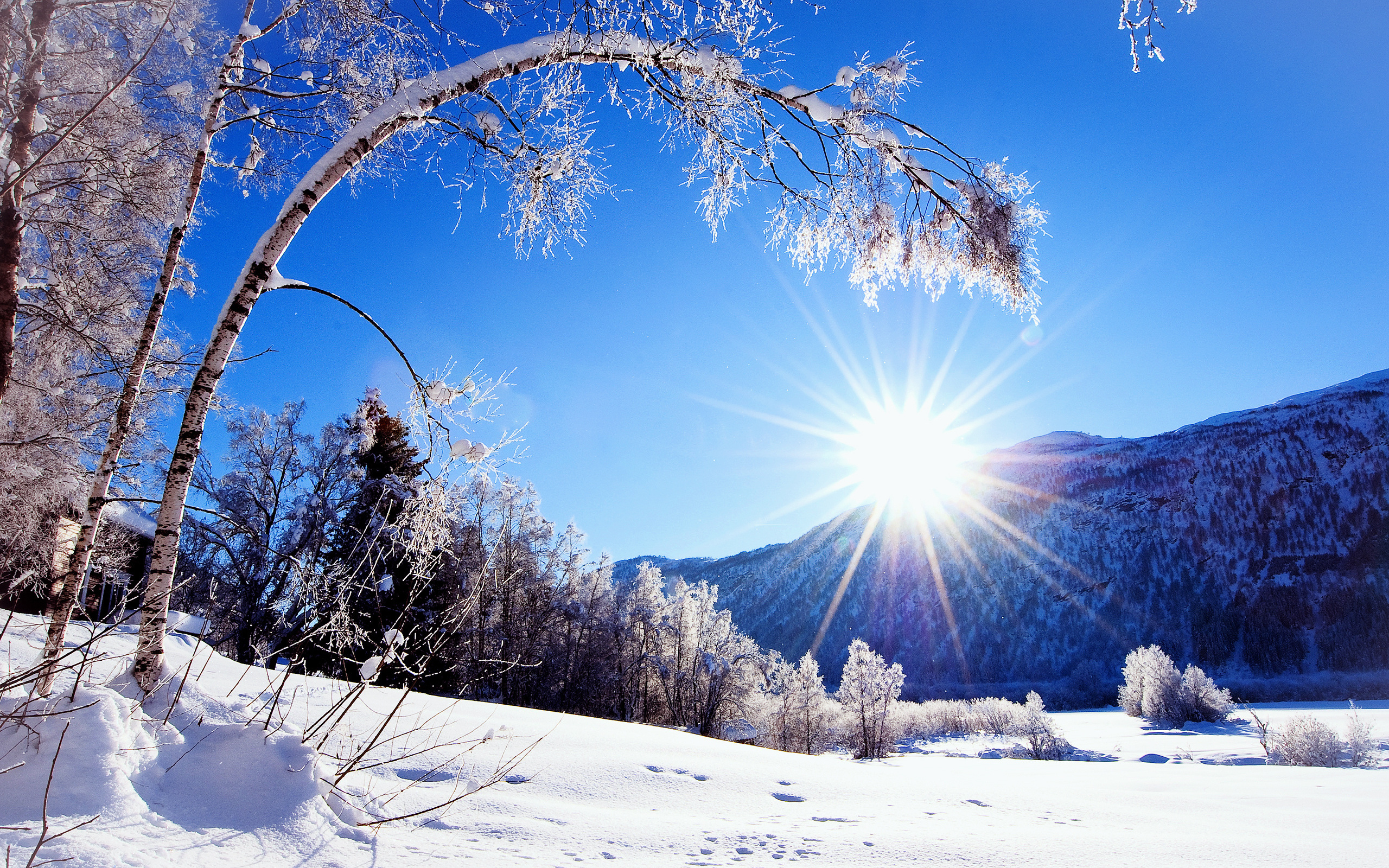 Хороша зима. Красивая зима. Солнечный зимний день. Природа зима. Зима солнце.