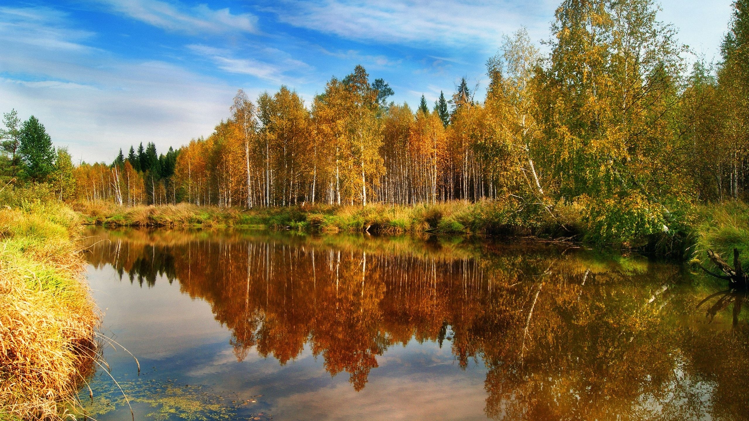 Картинки осени на рабочий. Природа. Осень. Природа осень. Золотая осень.