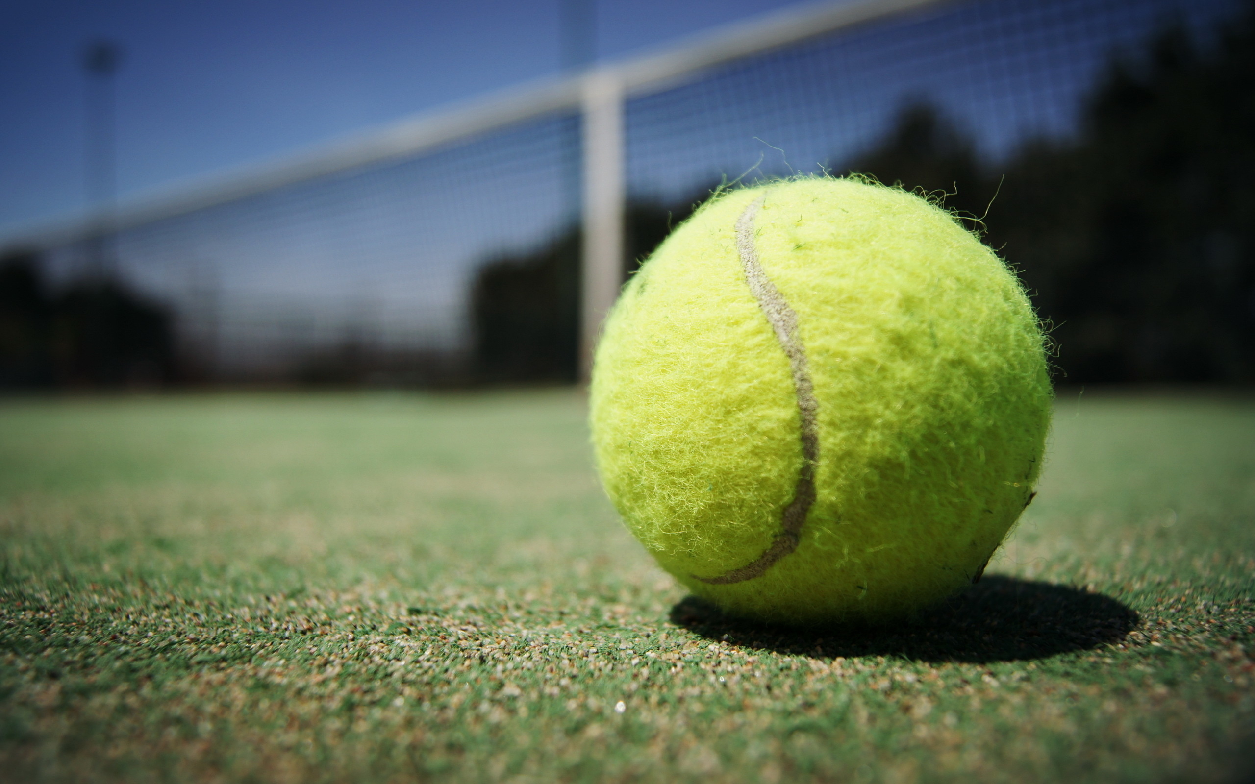 Игра мяч на траве. Теннис Болл. Мяч для тенниса. Теннисный мяч на корте. Теннис корт мяч.