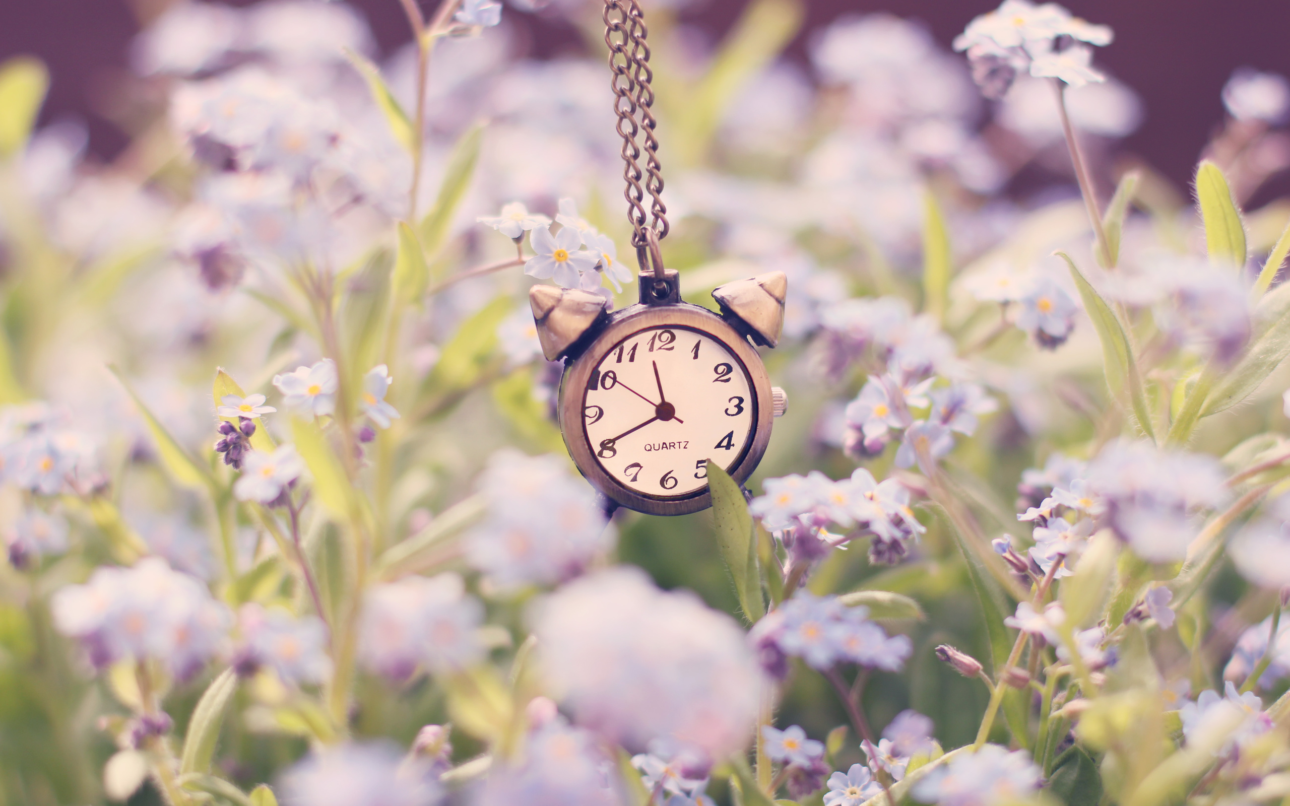 Мая мая часы часы часы песня. Часы в цветах. Красивые часы. Будильник в цветах. Часы на красивом фоне.