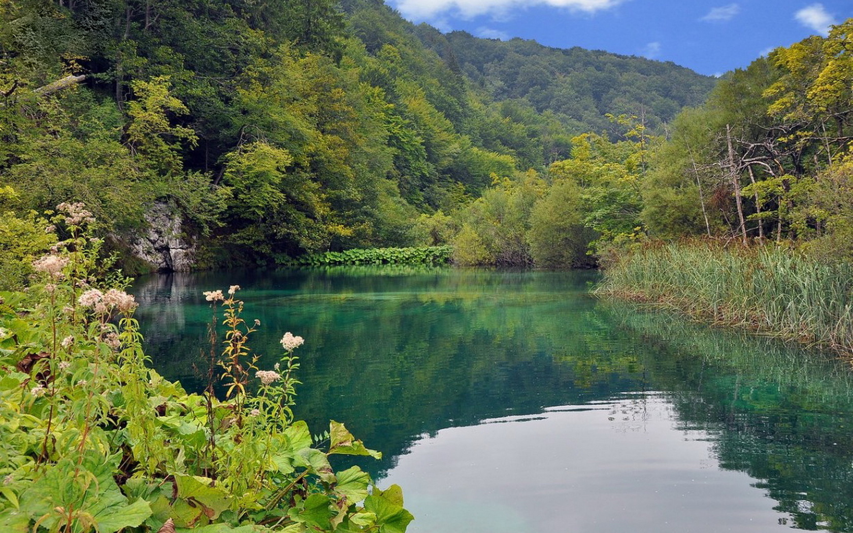 Озеро краса. Плитвицкие озера. Плитвицкие озера фото. Леса Хорватии. Хорватия озера.