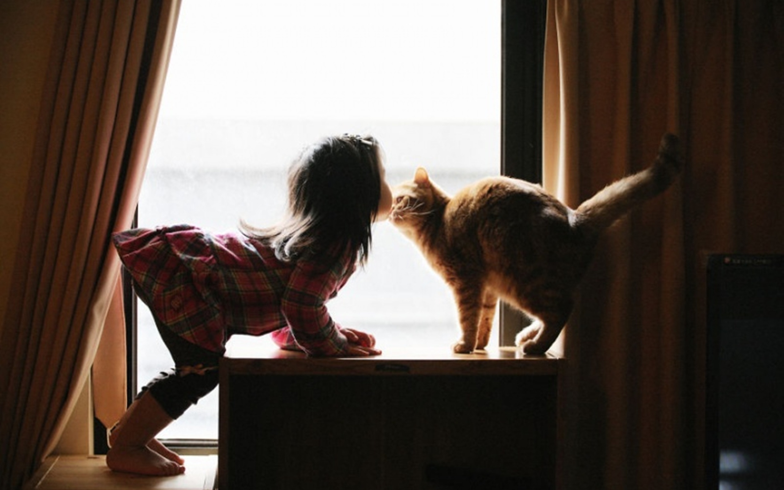 Человек и кошка вместе. Девушка с котом на подоконнике. Девочка с котом. Девушка кошка. Фотосессия с кошкой.