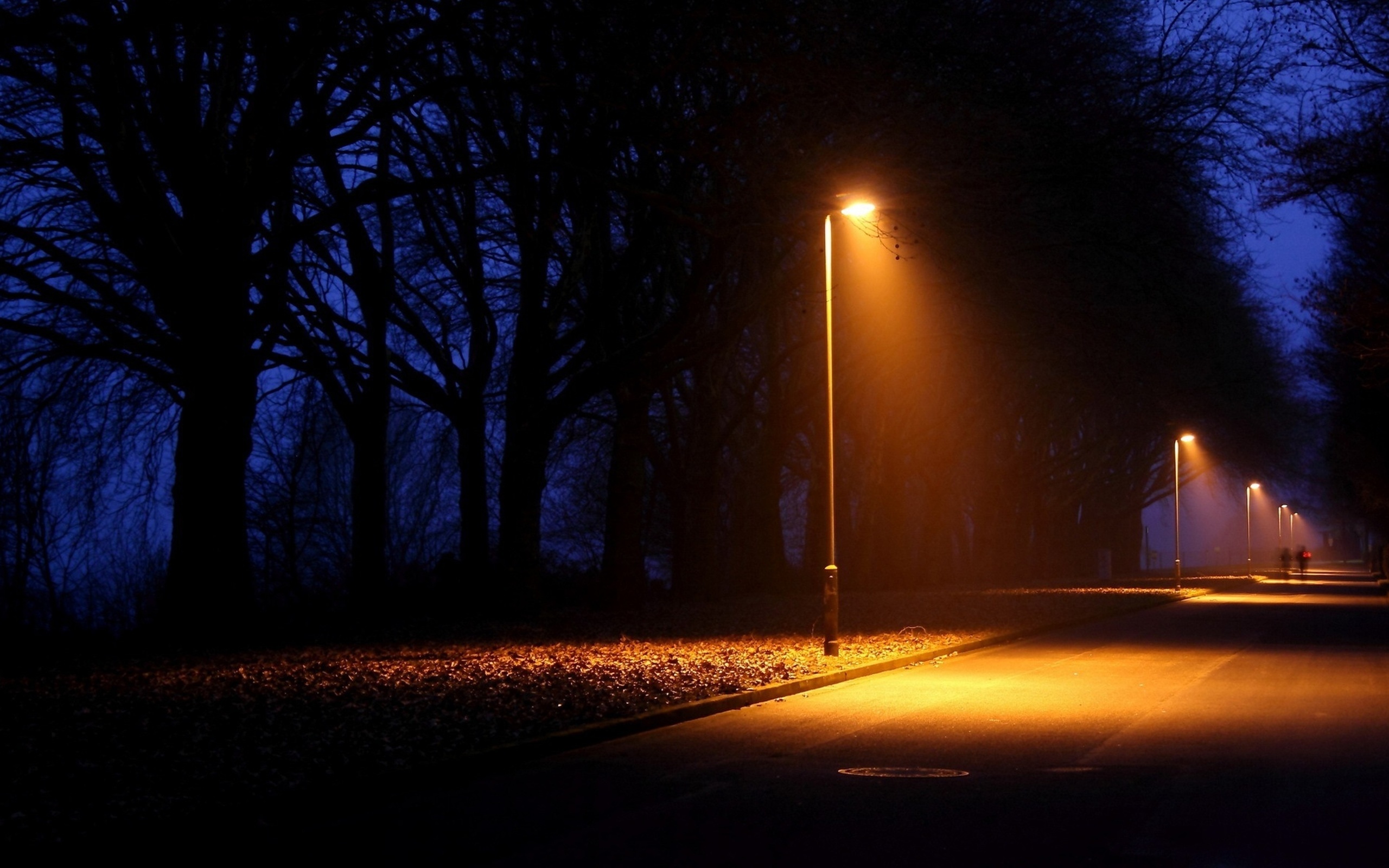 Городу нужен свет. Ночная улица с фонарями. Фонарь ночью. Уличный фонарь ночью. Ночной парк с фонарями.