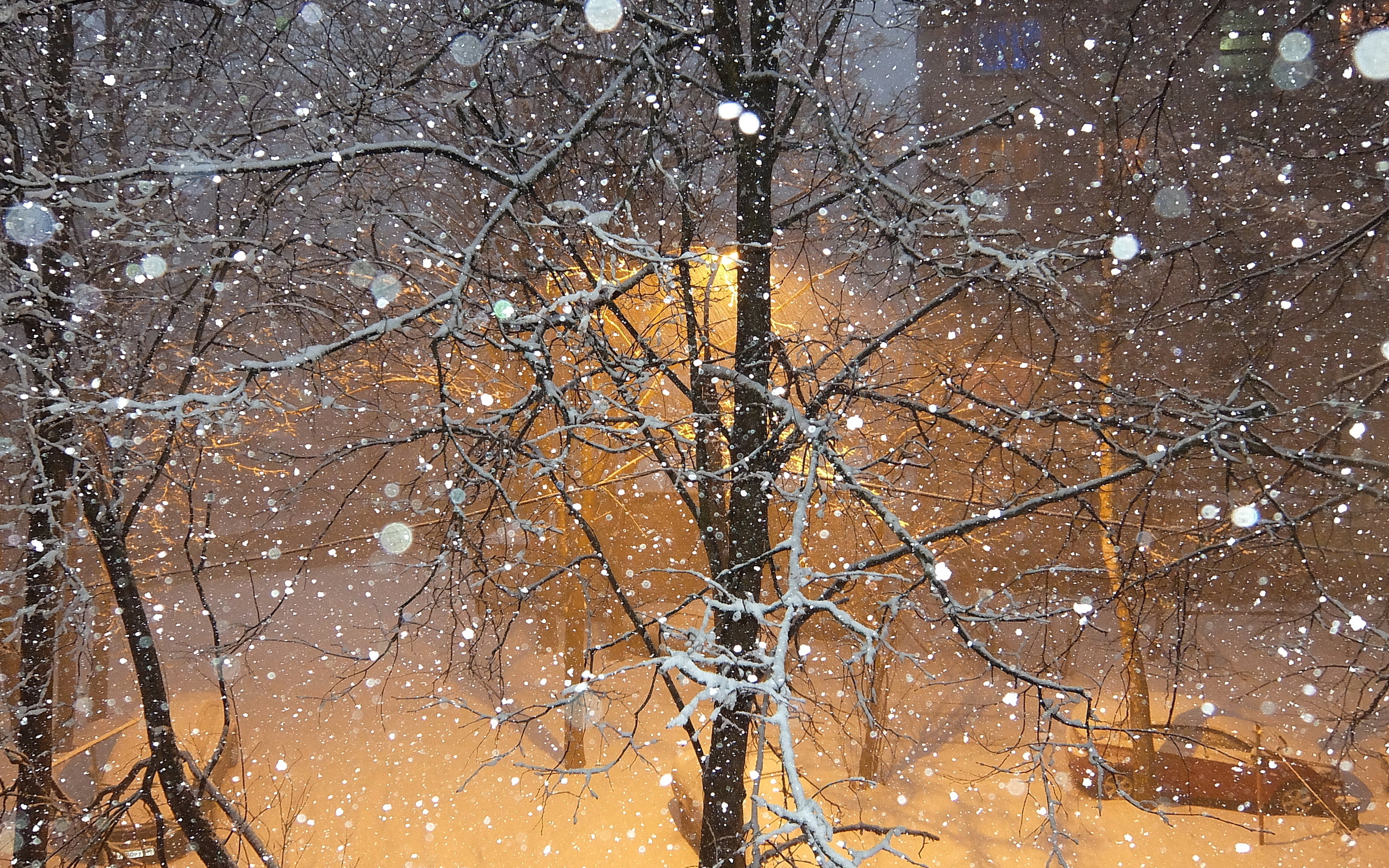 Звуки идет снег. Снег за окном. Снегопад. Снегопад за окном. Первый снег за окном.
