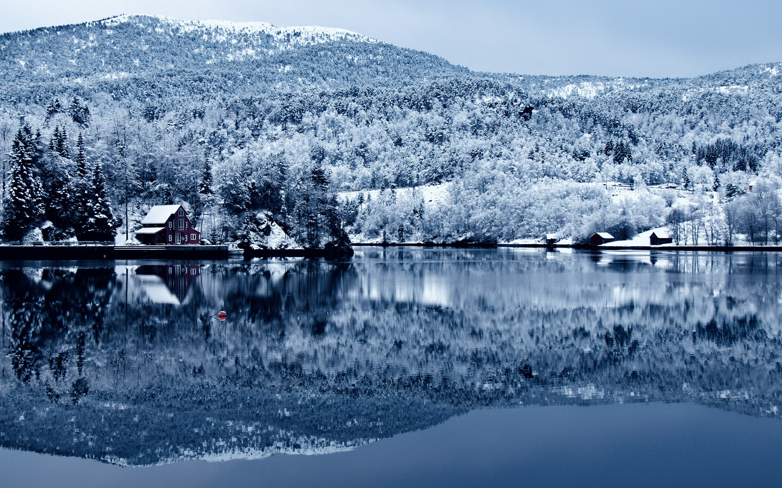 Зима на берегу озера. Озеро Рица зимой. Южный Шварцвальд озеро. Озеро Аспен Швеция. Озеро Блаузее, Швейцария зима.