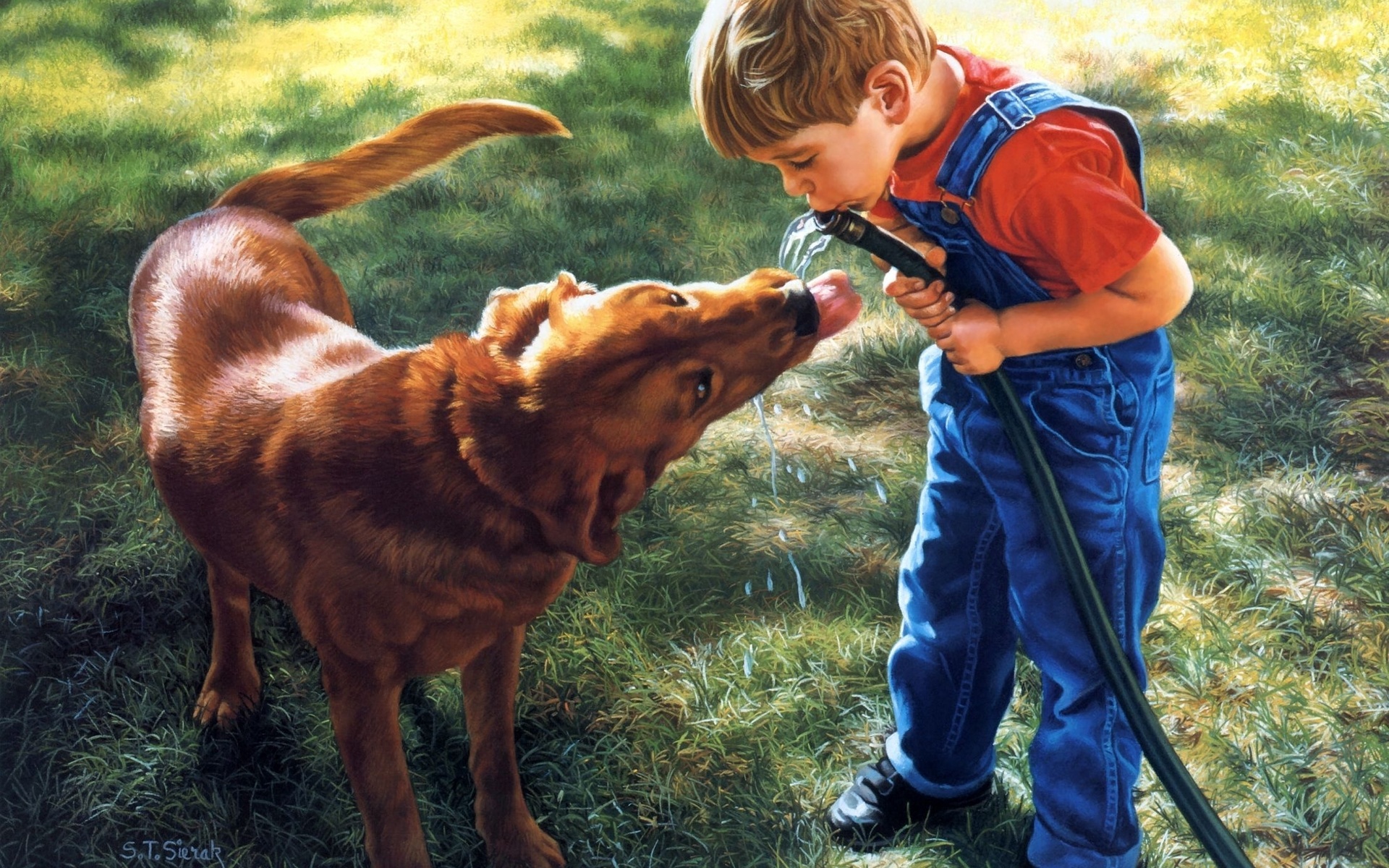 Мальчик с собакой описание