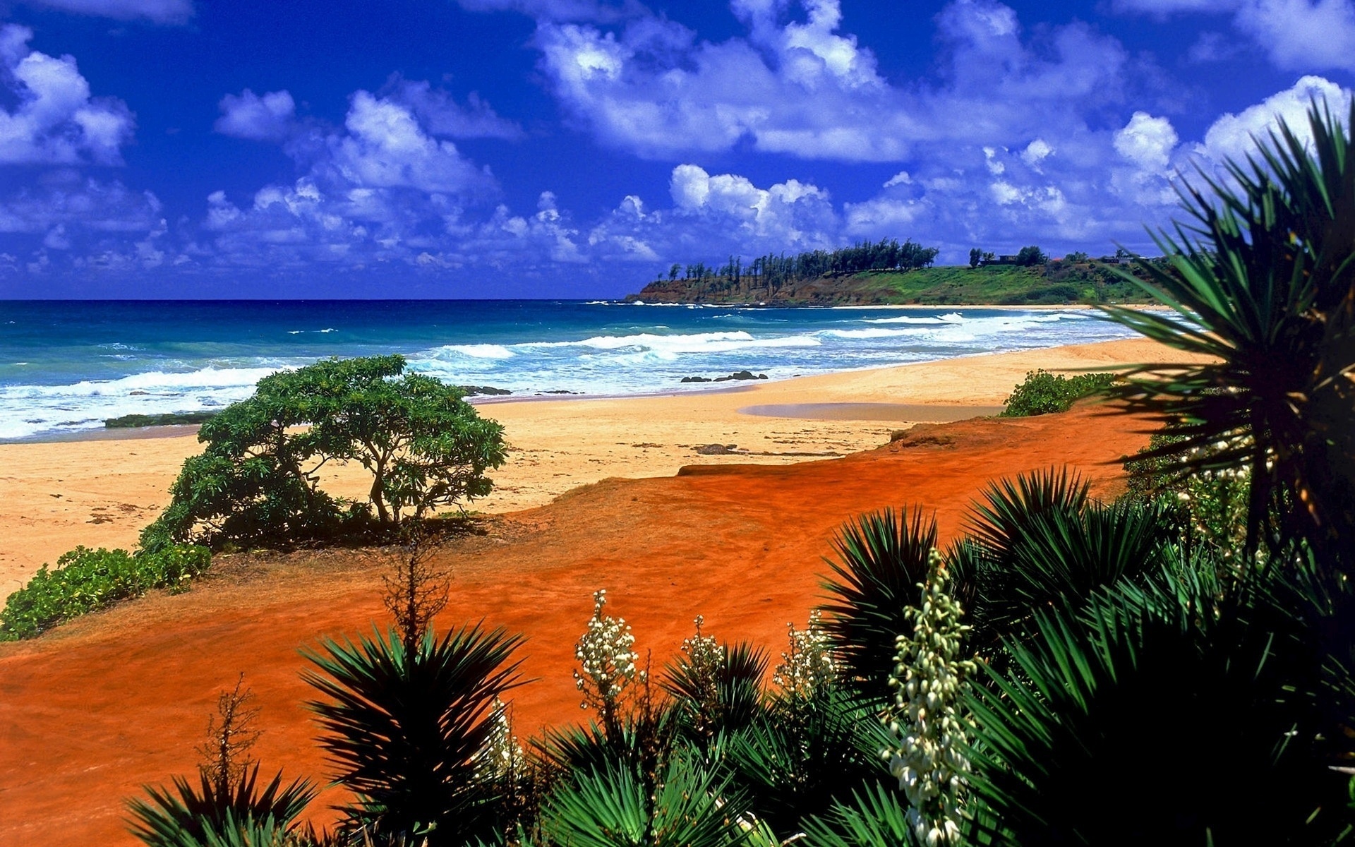 Море экзотика. Остров Кауаи, Гавайские острова. Пляж Сансет Бич Гавайи. Гавайи климат. АЛОХА Гавайи тропики.