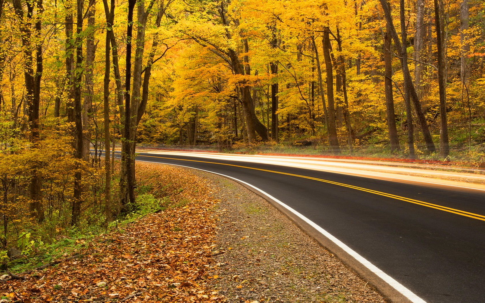 Golden roads. Осенняя дорога. Золотая осень дорога. Золотая дорога. Осенняя дорога в лесу Огайо.