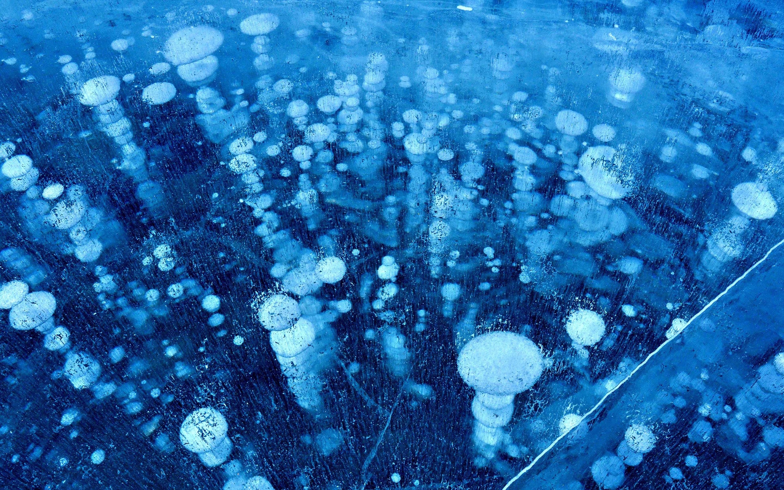 Пузырьки на байкале. Замерзшие пузырьки метана. Замерзшие пузырьки метана в озере. Метановые пузырьки. Метановые пузырьки на Байкале.