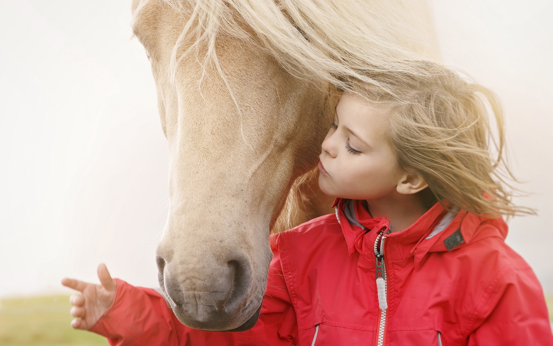 Девочка с лошадкой. Девочка на лошади. Девочка и конь. Лошадь для детей. Девушка с лошадью.